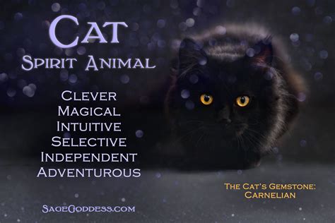 Best 25 Cat Spirit Animal Ideas On Pinterest Spirit Animal Owl Your