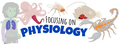 Comparative Animal Physiology | Ask A Biologist
