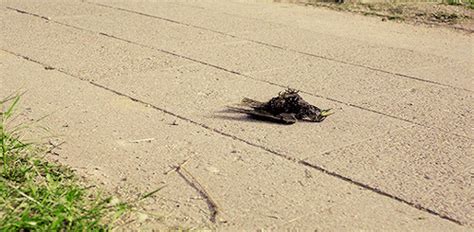 My skin peeled off, terrell told the outlet. chernobyl | Tumblr