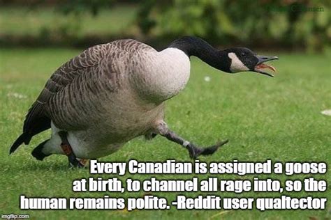 Canadians Memes And S Imgflip