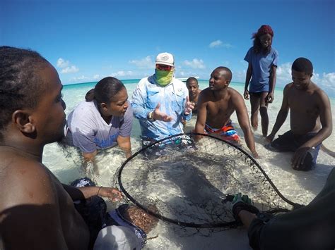 We would like to show you a description here but the site won't allow us. CEI Stingray Research Group takes Bahamian Staff out for a ...