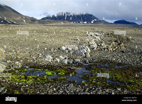 Tundra Scenery Norway Spitsbergen Woodfjord Stock Photo Alamy
