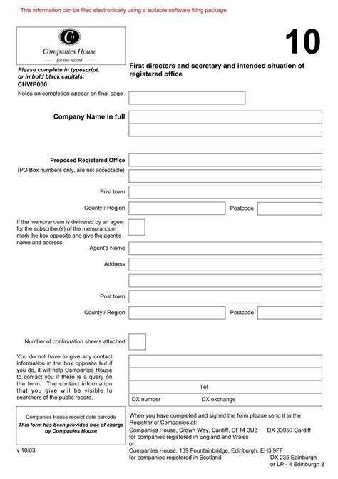 Companies House Form 10 - Accounting Issue