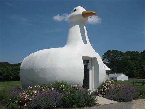 Eccentric Roadside All Its Quacked Up To Be The Big Duck Of Flanders