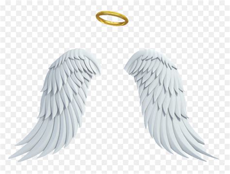 realistic angel wings and halo hd png download vhv