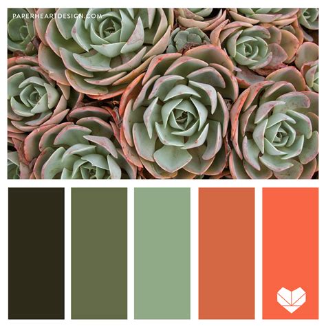 Color Palette Living Coral — Paper Heart Design