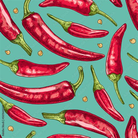 Hand Drawn Colorful Red Chili Peppers Vector Seamless Pattern For