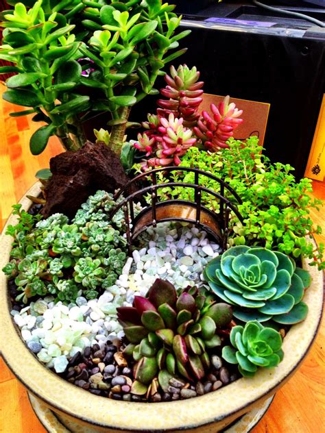 Miniature Succulent Garden With Bridge By Cornell Farm Minigardens Mini Jardim Interior