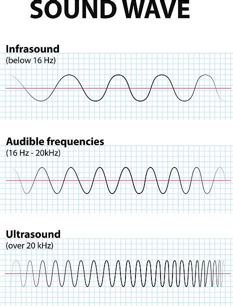 Ultrasound Waves Stock Photos Pictures And Royalty Free Images Istock