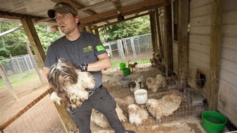 50 Dogs Rescued From Suspected Puppy Mill In Rutherford County