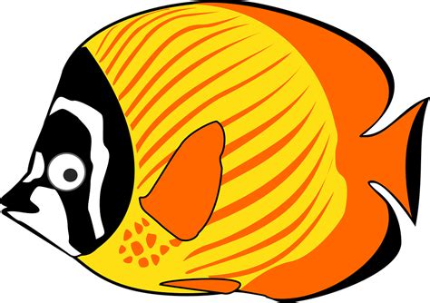 Untuk mempersingkat waktu , berikut ini beberapa 48+ terkeren gambar ikan gabus kartun yang pastinya keren dan bermakna. Gambar Ikan Hias, Paus, Hiu, Kartun, Lucu » alihamdan