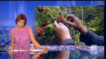 May 31, 2021 · car, dans les couloirs de reyers, cela s'agite depuis quelques jours : Julie Morelle : J.T. (RTBF - 22/05/2012)