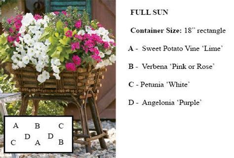 Container Planting Combinations This Site Has Great Ideas
