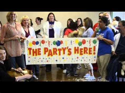 Impounded & urgent pets in the care of acs. Urgent Pet Care Millard Open House 4 16 - YouTube