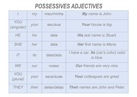 Por Dentro Do Ingles Possessive Adjectives Adjetivos Possessivos Images