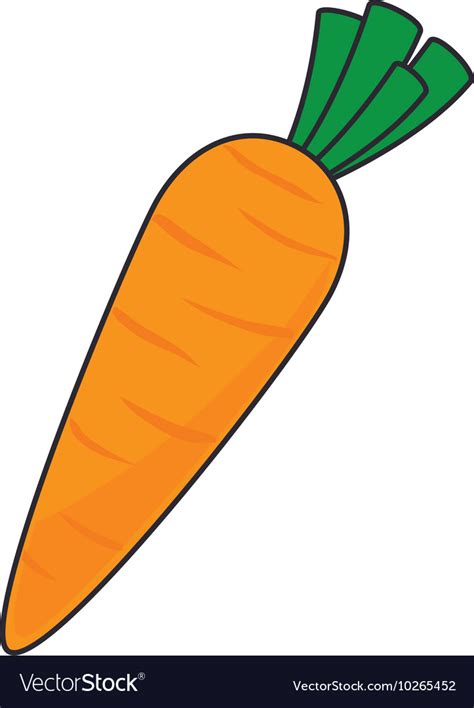 Carrot Vegetable Food Royalty Free Vector Image