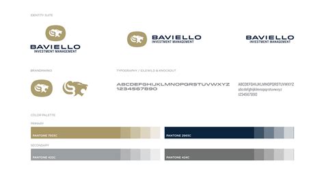Baviello Investment Management Lisa Gorham Creative Collateral Design