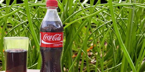 Coca Cola In The Garden General Tips By Nature Bring Naturebring