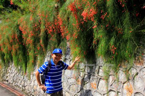 There are three modes of transportation to penang hill, 1, from no. My 2014 Visit to Penang Hill