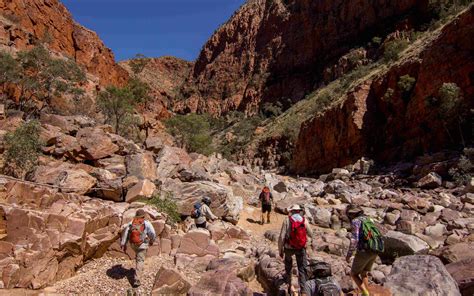 An Inside Track On The Larapinta Trail