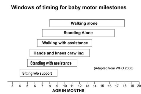 Motor Milestones How Do Children Develop During The Early Years