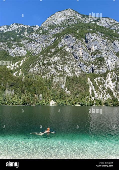 Woman Swimming In Lake Bohinj Stock Photo Alamy
