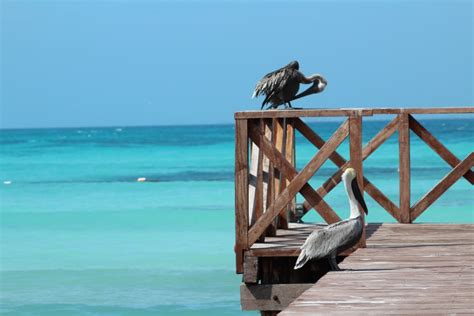 Überblick bergwetter skiwetter bezirke wien biowetter. Beste Reisezeit Cancun (Wetter, Klimatabelle und ...