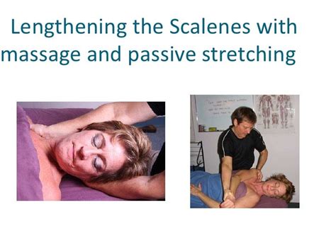 Massage Therapy A Medical Modality