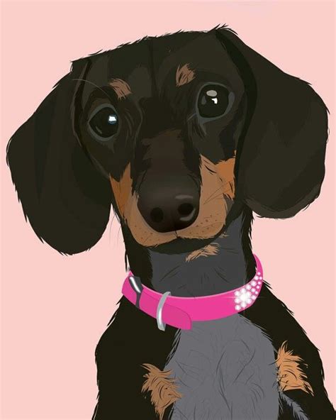 Arte Dachshund Dachshund Drawing Dachshund Love Doxie Dachshunds