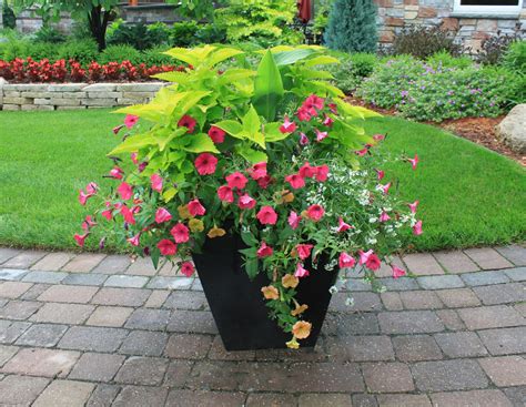 Container Gardening Reder Landscaping Landscape Design And Lawn Care