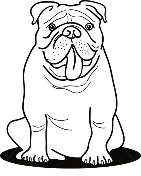 English Bulldog Coloring Pages Printable At Free