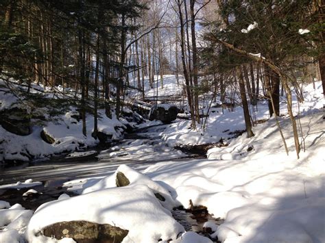 Snowy Creek Free Stock Photo Public Domain Pictures