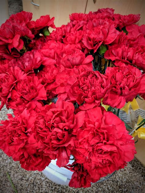 Maybe you would like to learn more about one of these? Pin by Tiger Lily Floral on Floral Arrangements | Same day ...