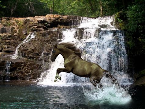 Waterfalls Wallpaper With Animals Hd Collection Zone