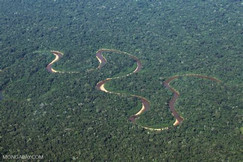 Aerial Photograph Of A Rainforest River In Peru