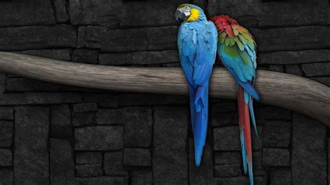 Parrot Os Desktop Wallpapers Wallpaper Cave
