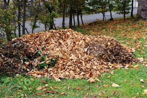 A Large Pile Of Leaves Lies In A Garden Next To A Road Stock Photo