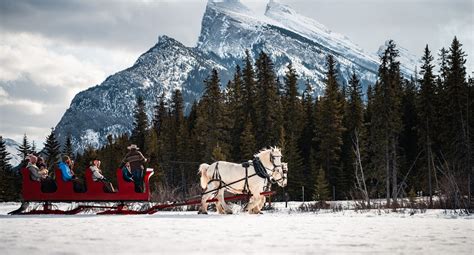 Sleigh Rides In Banff And Lake Louise Banff And Lake Louise Tourism