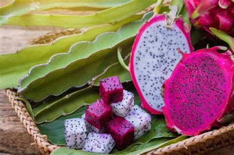 Diambil airnya dengan cara diperas yang. Manfaat Buah Naga, Bisa Mengatasi Sembelit?