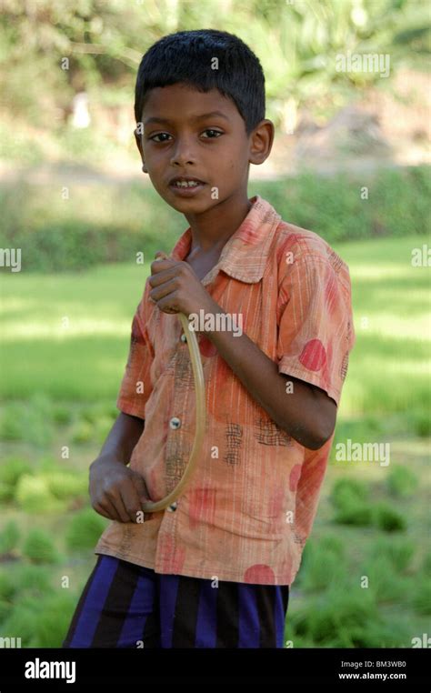 Portrait Of An Indian Boy From Keralaindiaasia Stock Photo Alamy