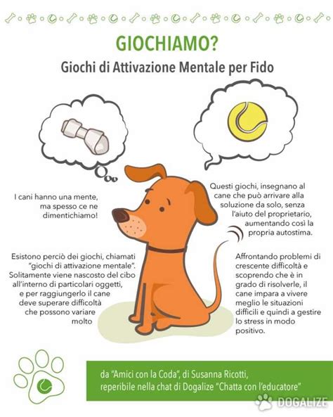 Giochi di Attivazione Mentale per il cane: I giochi per ...