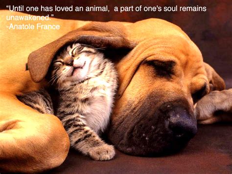 Chuck's Fun Page 2: Be kind to animals...