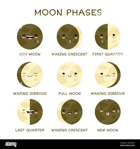 Learning Moon Phases Moon Phase Print Educational Posters With Lunar