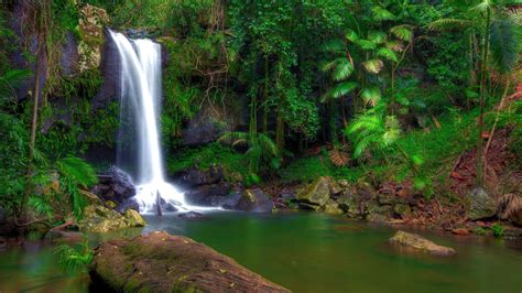 Rainforest Waterfall Scenery Hd Wallpapers Preview