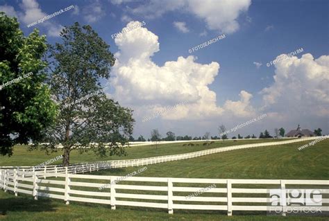 Fence Lexington Ky Kentucky Blue Grass Country Picturesque View Of