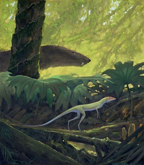 Lagosuchus Hides Motionless Under Some Seed Ferns From A Searching