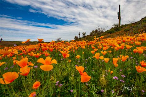 The Best 10 Zoom Backgrounds Arizona Desert Occurquoteq