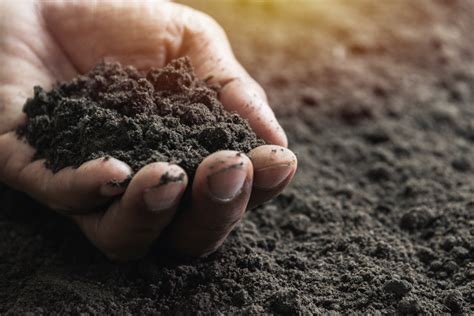 The Fight Over Healthy Soil Modern Farmer