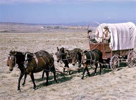 Prairie Schooner Wagon