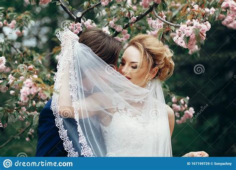 Stylish Bride And Groom Embracing And Kissing Under Veil In Park Among